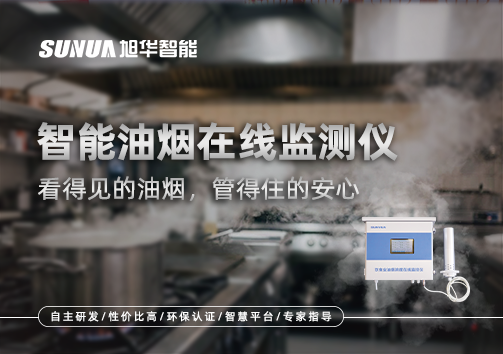 智能油烟在线监测仪：看得见的油烟，管得住的安心